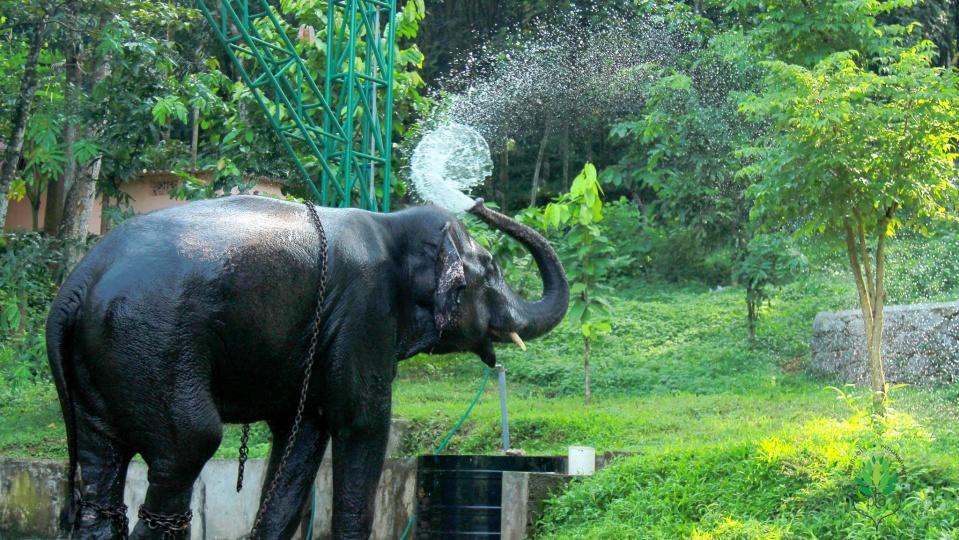 Swasthi Griha Villa Aranmula Exterior foto